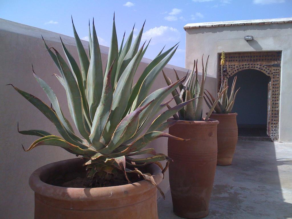 Riad Due Маракеш Екстериор снимка
